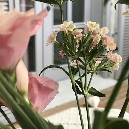çona Butik 2* Alaçatı