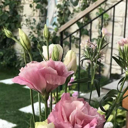 çona Butik Hotel