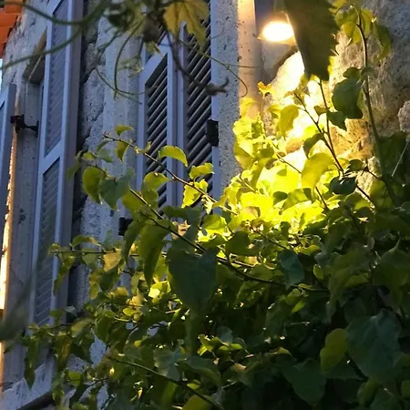 Hotel çona Butik 2*