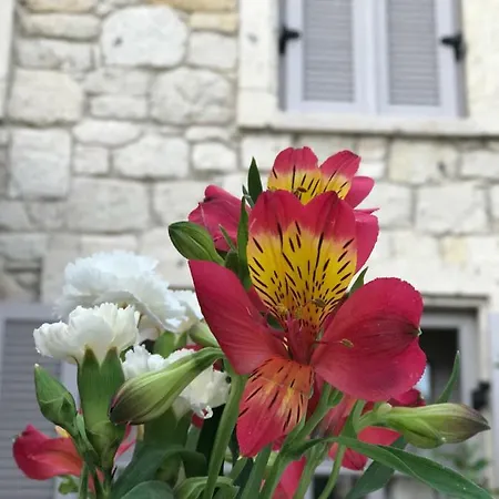Hotel çona Butik Alaçatı