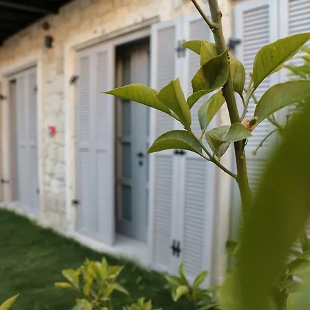 فندق Cona