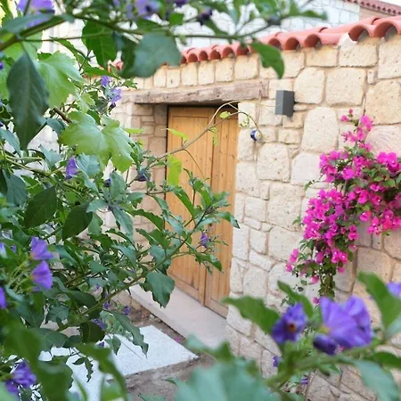 Cona فندق