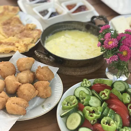 מלון Cona