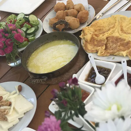 فندق Cona ألاتشاتي
