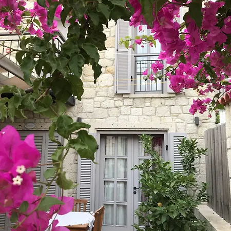 فندق Cona