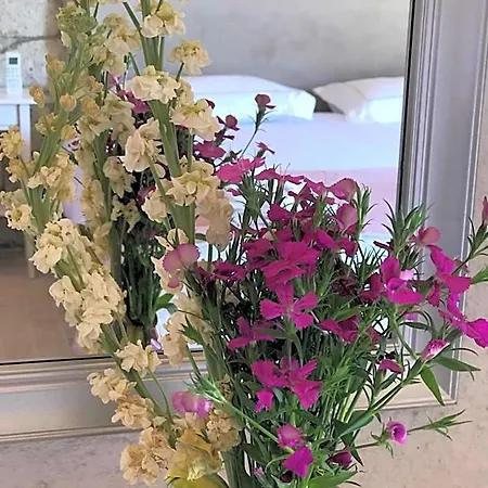 فندق Cona ألاتشاتي