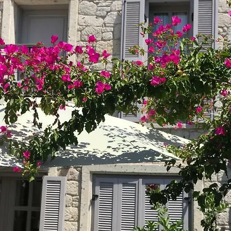 Hotel Cona
