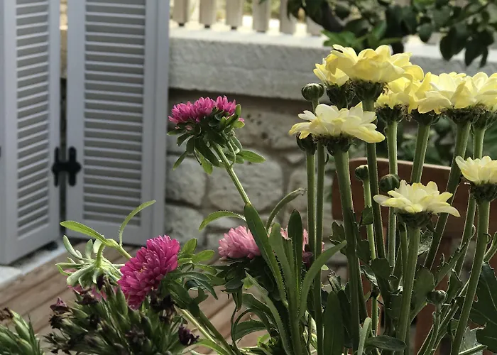 çona Otel Alaçatı